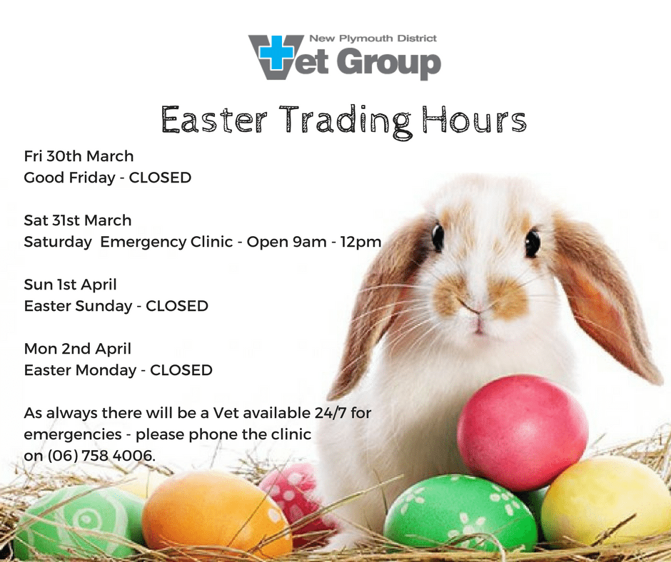 Easter Trading Hours New Plymouth Vet Group