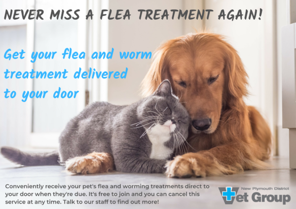 Never miss a flea treatment again - Get your treatment delivered! - New ...